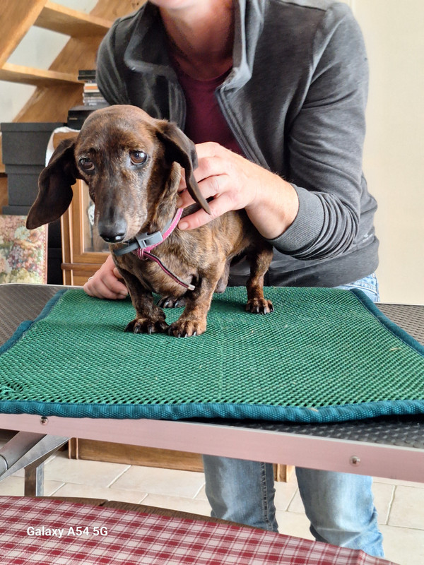 [Image: 20240702-165948.jpg]