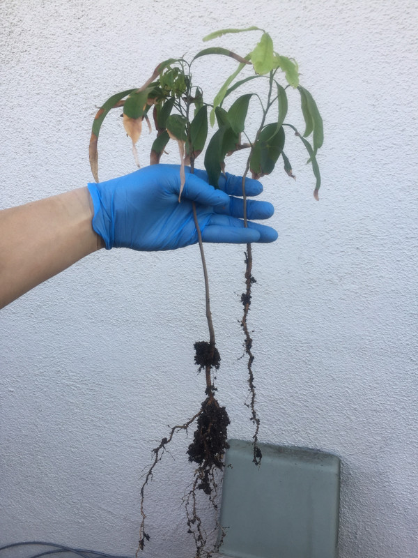 C495A065-E280-427C-BAC5-8D71967860DE