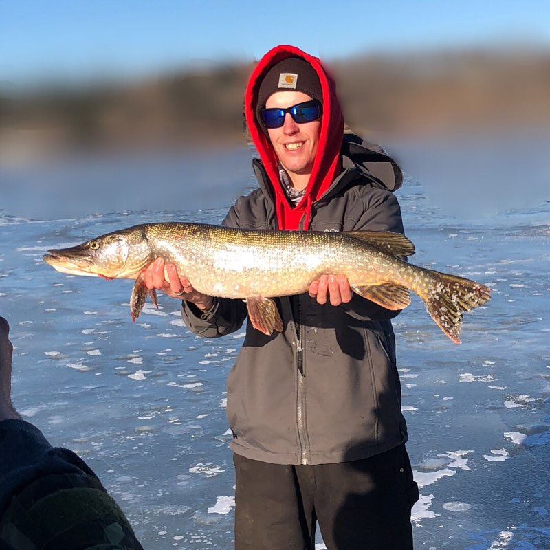 pike3