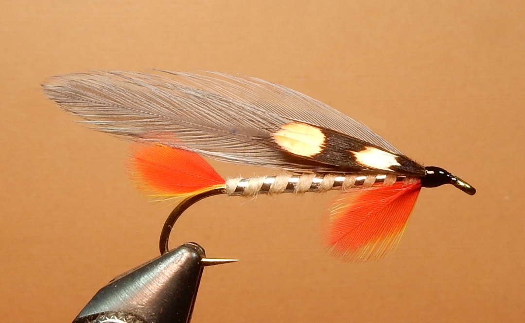 Red_Horse_1080.jpg