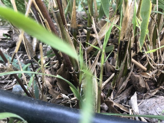 9A3A3710-B115-40A8-B738-6DDDA7605347