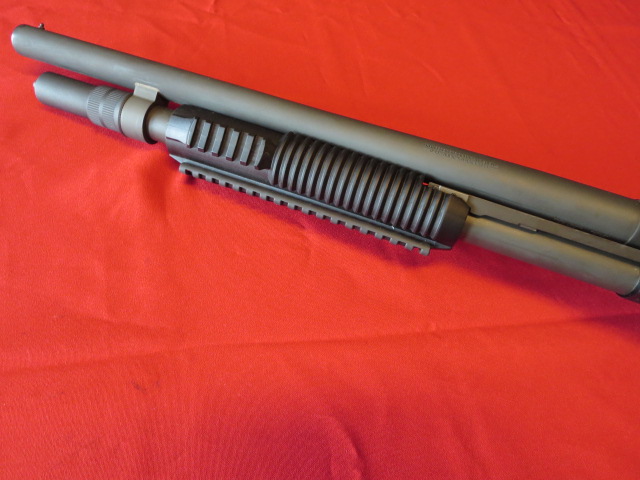 Waff-ank-Clearwater-018