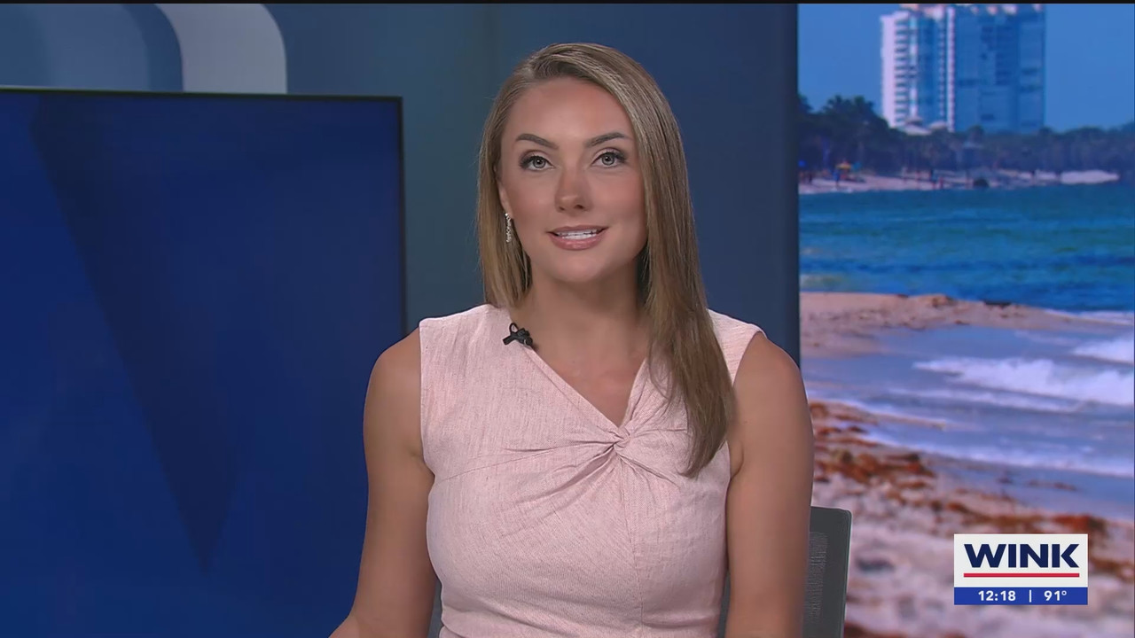 08.13 - 17.00.00 - The WINK Noon News  ᴺᵉʷ. Midday news update..ts_snapshot_24.45.502