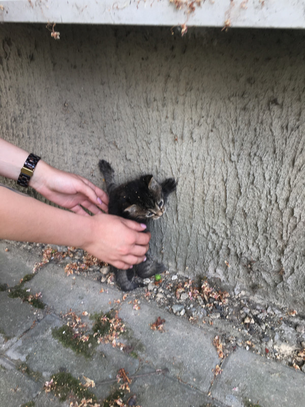 IMG_9884-07-06-19-09-01