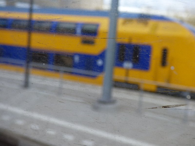 P1090940.jpg