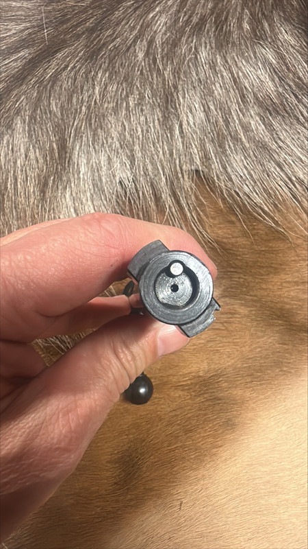 processed-60539E22-8454-4185-AA25-7F16B2B4584D