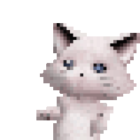 dance cat