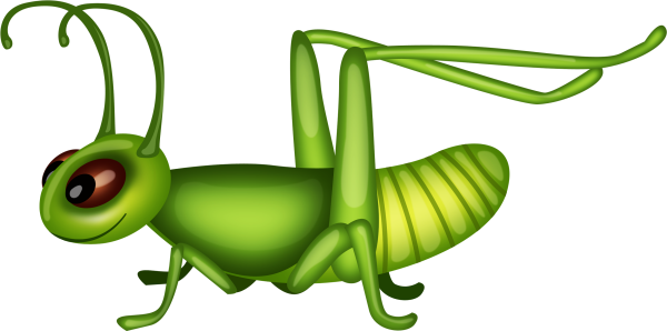 Beetle dance68