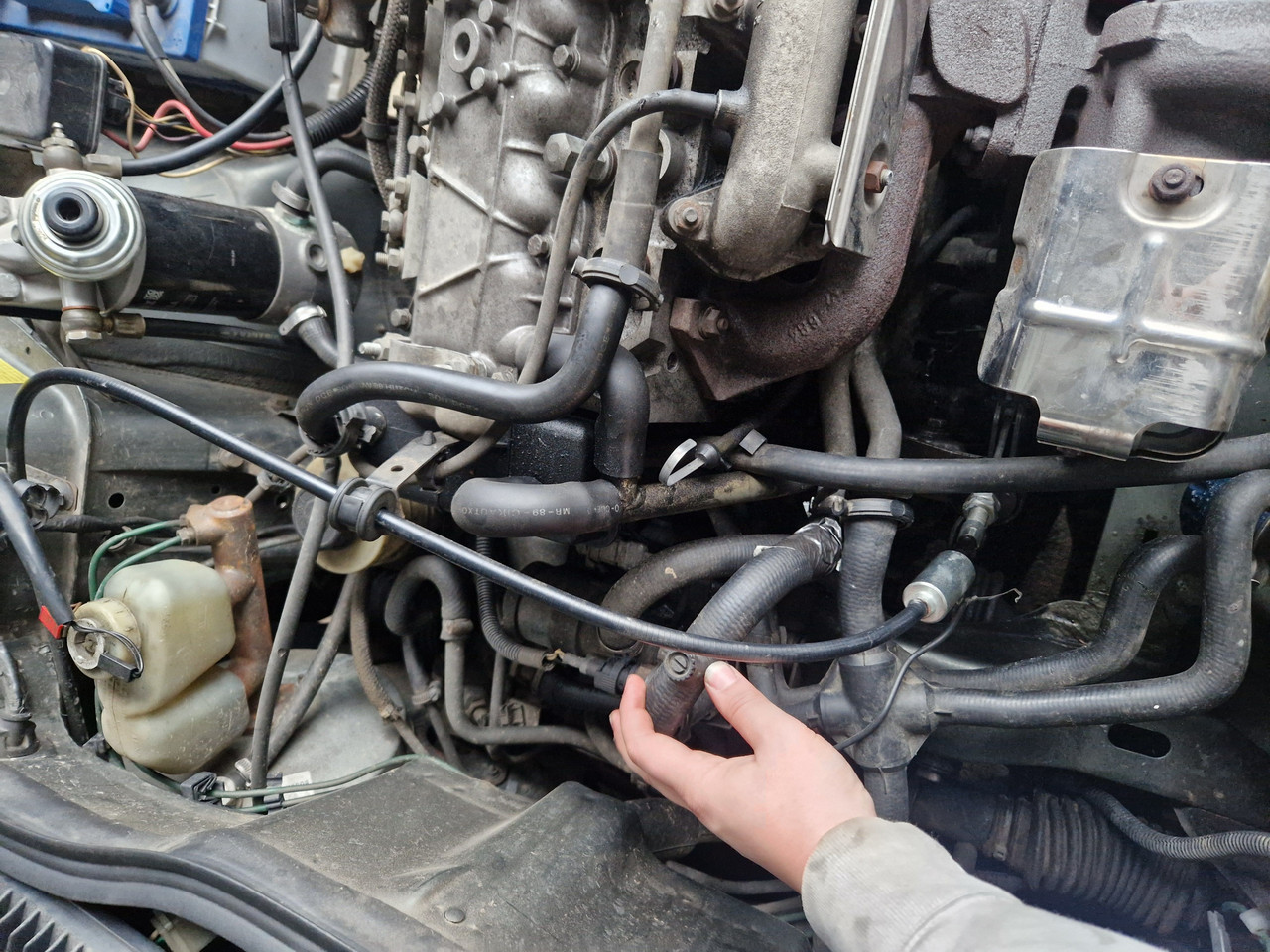 JPEG 6640096673866342119