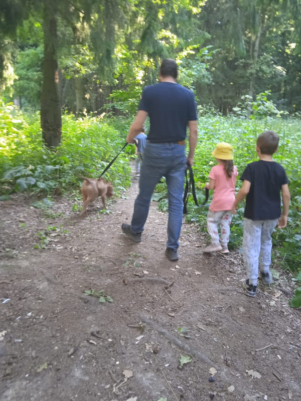 6C8FFBDE-8B31-477F-A26F-9B163BA3FE11