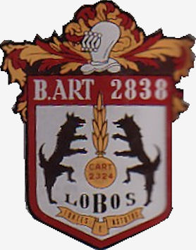 CArt2324