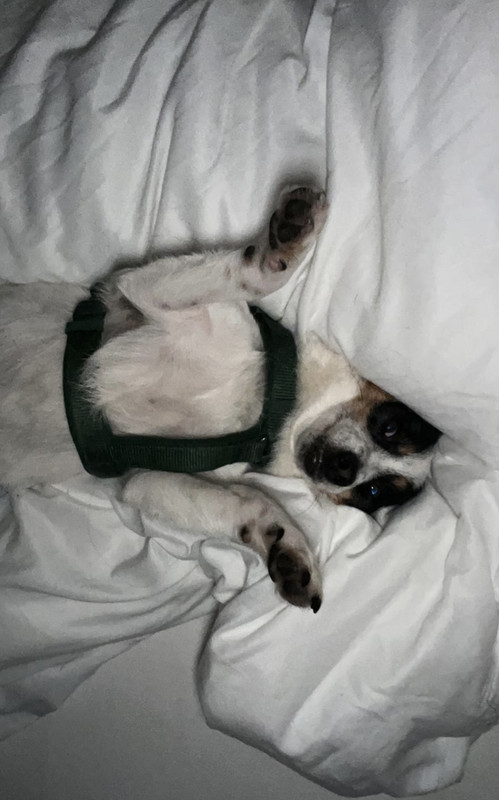 5398C0F3-2FEC-4947-98A8-C606B46D6E37