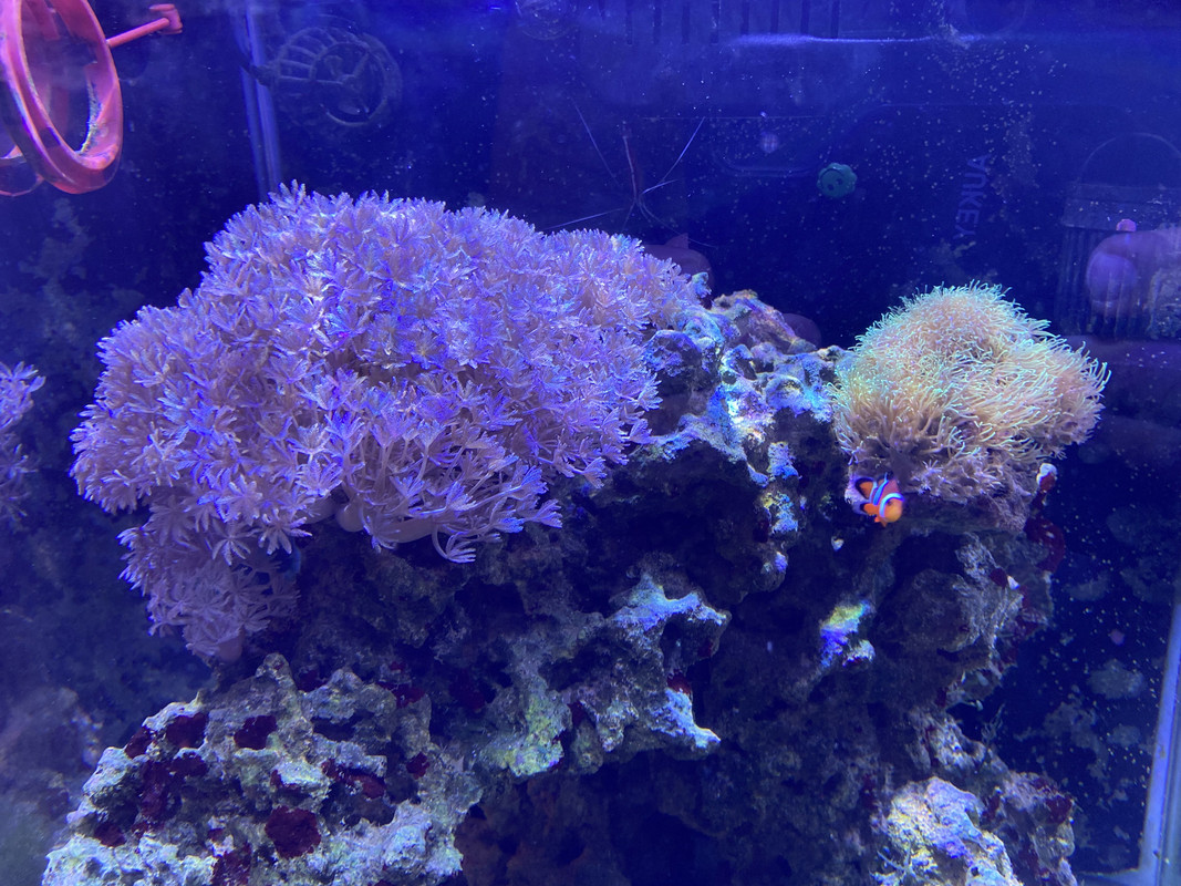 E412FDDD-F696-4AFD-9B36-D238110BDE0C