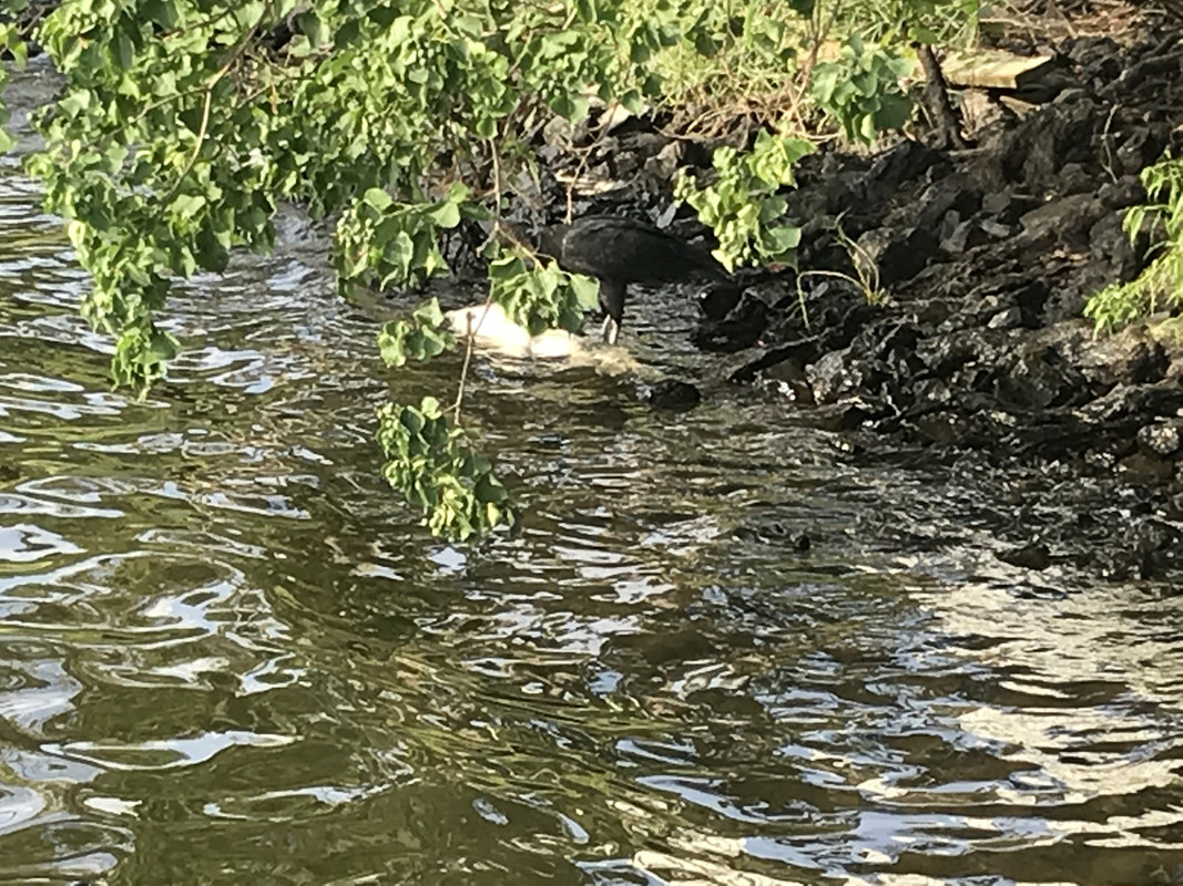 A545CBB5-FFC7-4C61-BF7B-301CC736BA43