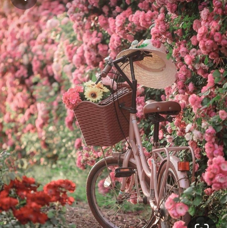 Screenshot_20230322_234452_Pinterest