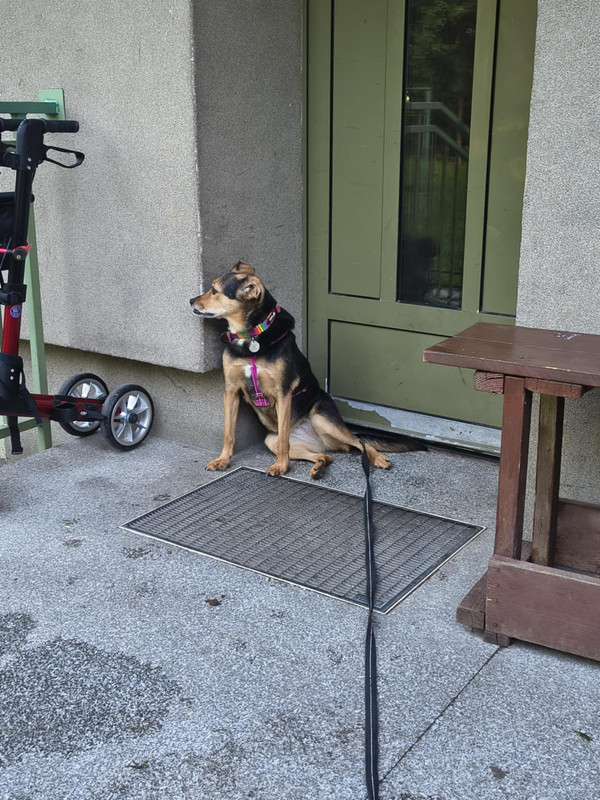 att.g9qVc4QDwI-Rif0UV1VmUwmtUSDU2vF2o9THJEK9UOk