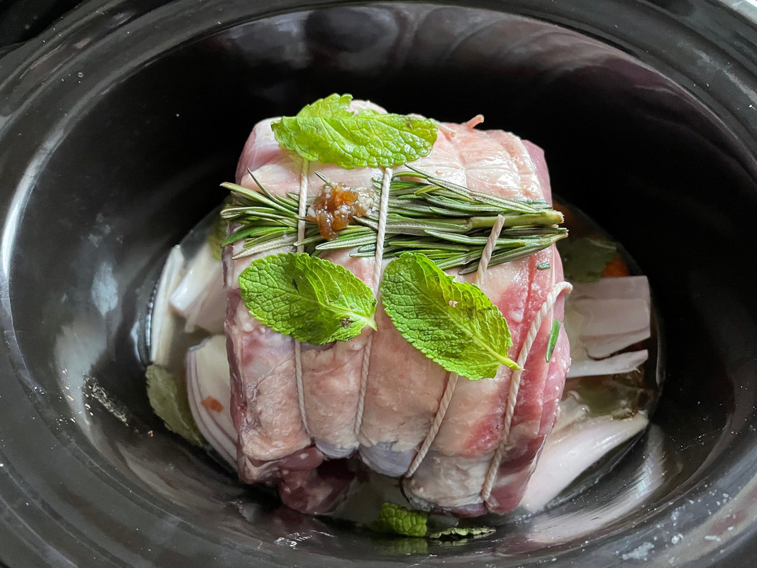 lamb 3