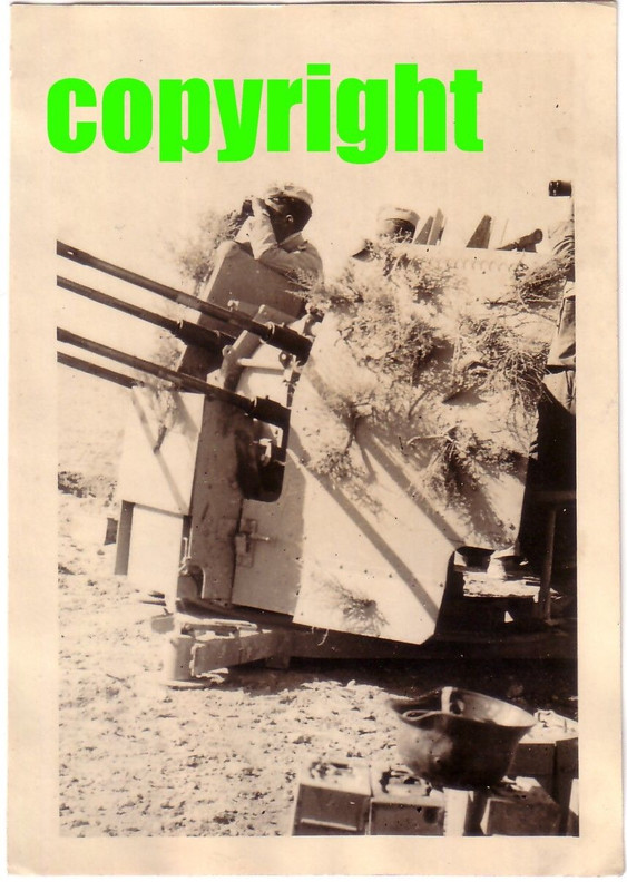 Orig.Foto Afrika Fallschirmjäger Dak 4ling Flak Geschütz Lafette - Erdkampf