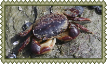 stamp-(4).png
