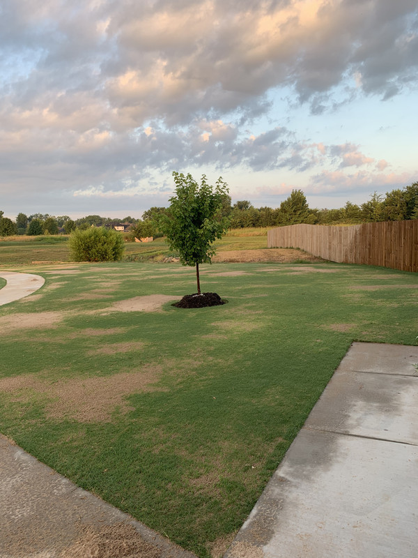 C4D9EF5E-F8FF-45AD-8241-136682FBC790