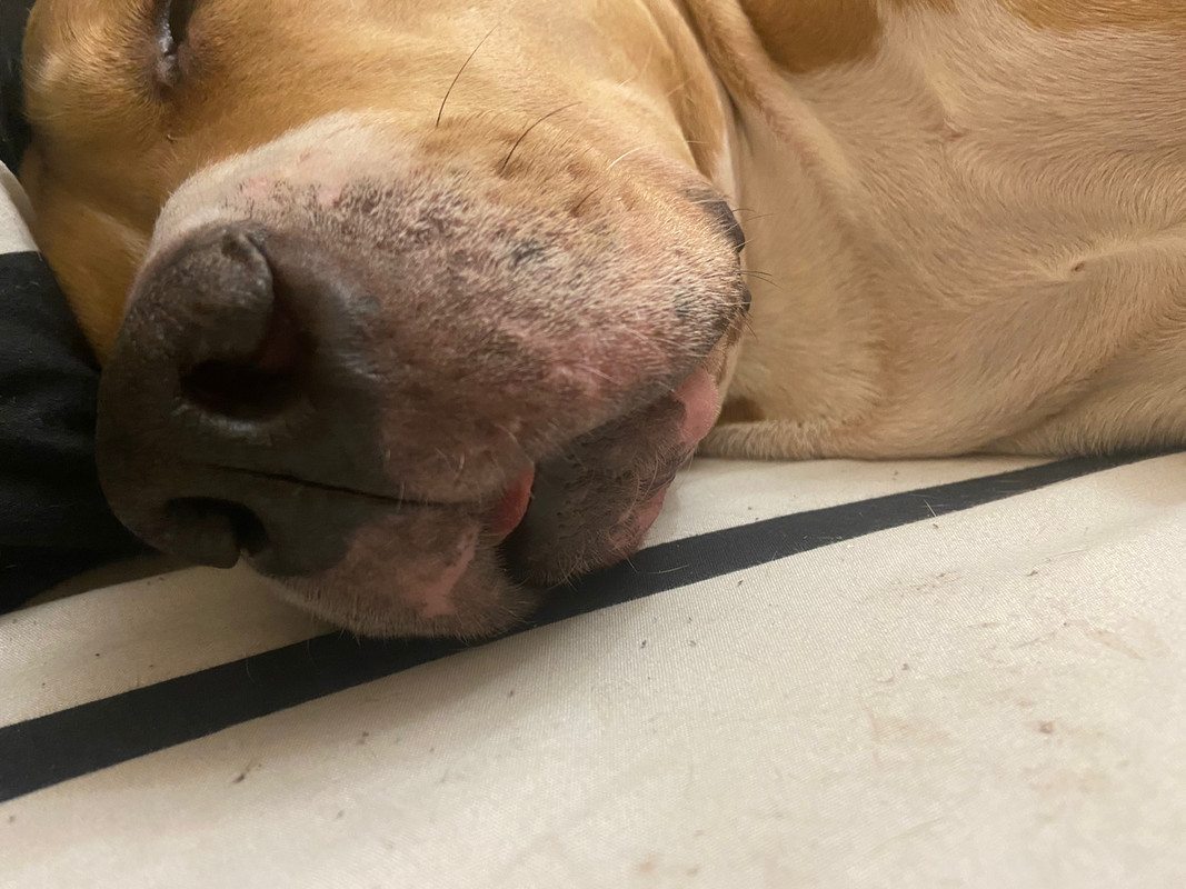 FF8BF020-8D93-4F5B-842F-8FE8DEFEE78F