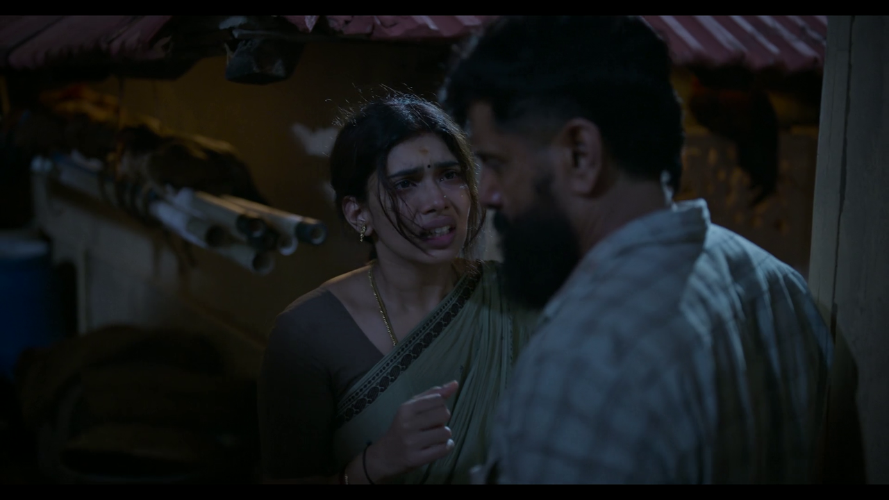 vlcsnap-2025-04-24-21h21m17s477