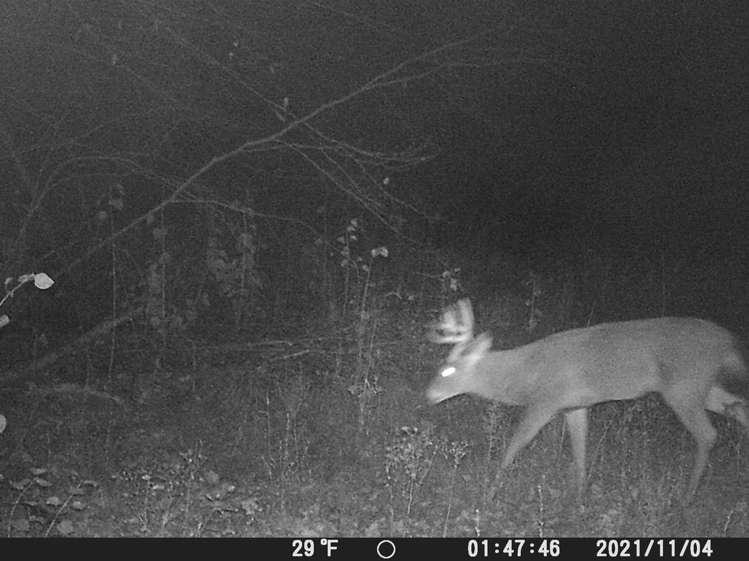 FC0A6739-A492-461A-9824-295B6D8A04D4