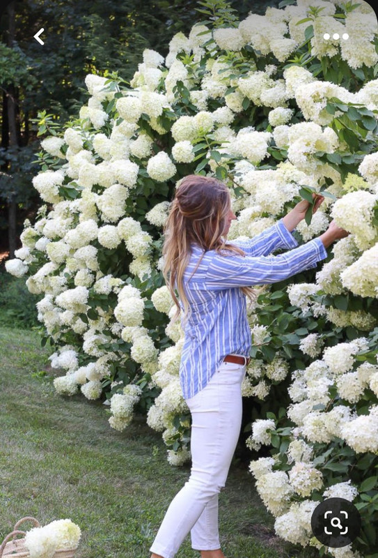 Screenshot_20230601_012401_Pinterest