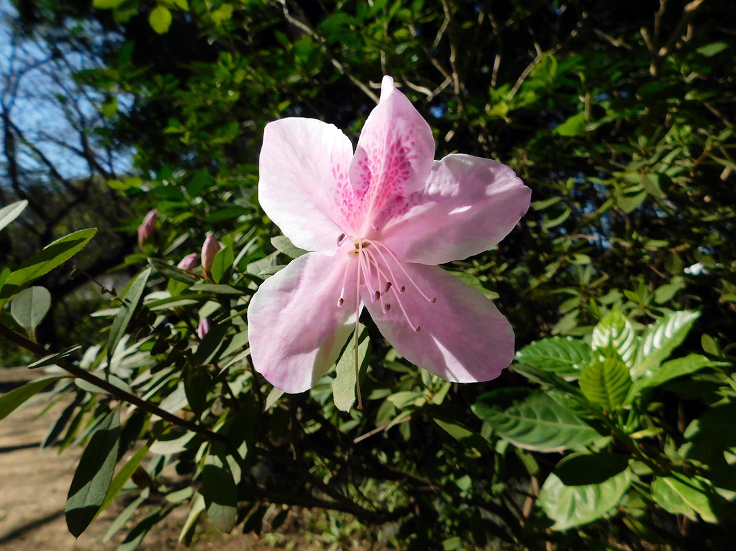 DSCN0365.jpg