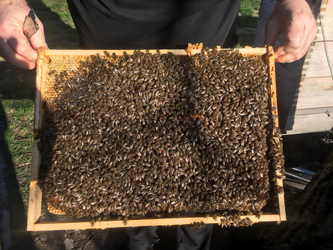 A09C3CD3-8C0E-46B9-800B-1970ABBF2D39