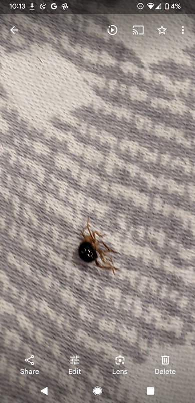 Screenshot_20230919-221327