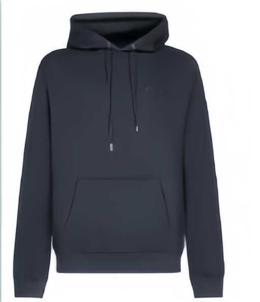 Christian Dior Basic Hoodie (Different CW) [2+ styles]