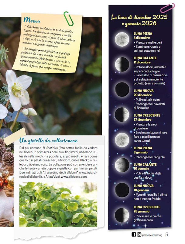 Pol Ver Dic 2025 Gen 2026 (2)