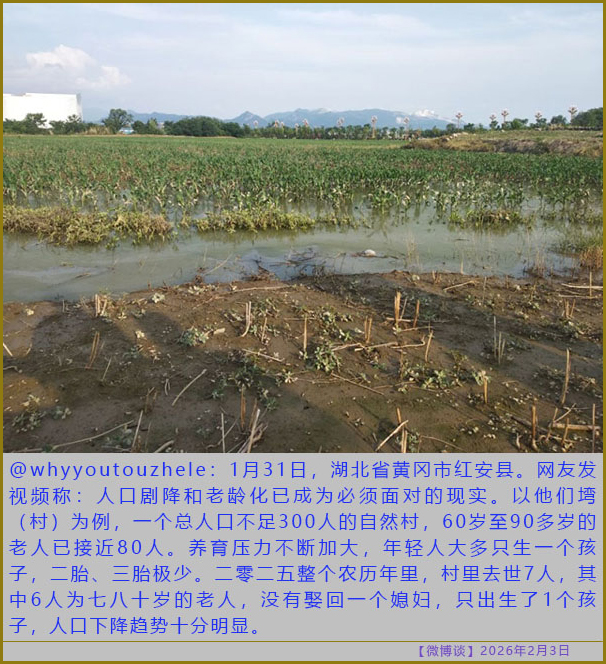 https://i.postimg.cc/3wzpnNDQ/20260203-bt-(8).jpg