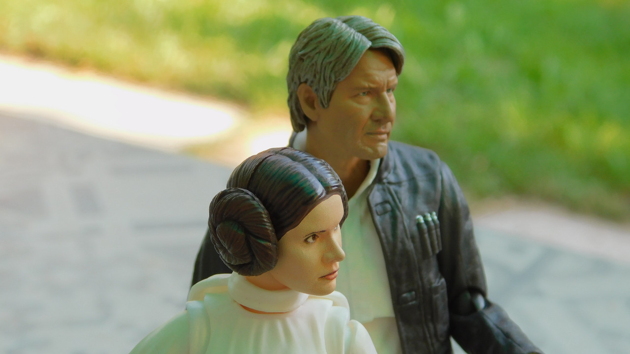 Дачно-Харлинский июнь-июль 2024 080