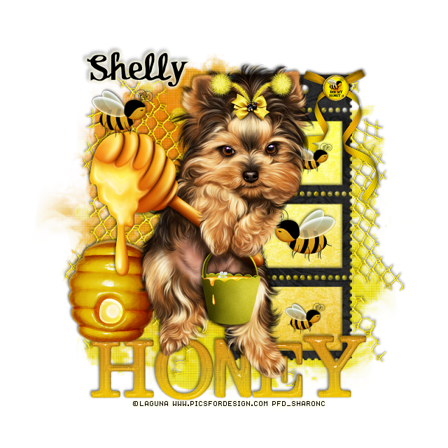 Shelly_animal_weekend