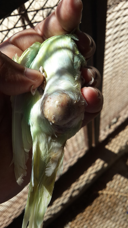 ٢٠١٩١٠٠٧_١٢٠٦٠٨