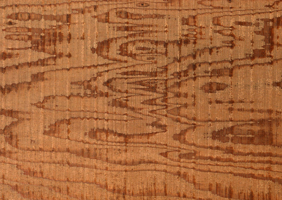 wood-texture-3dsmax-588