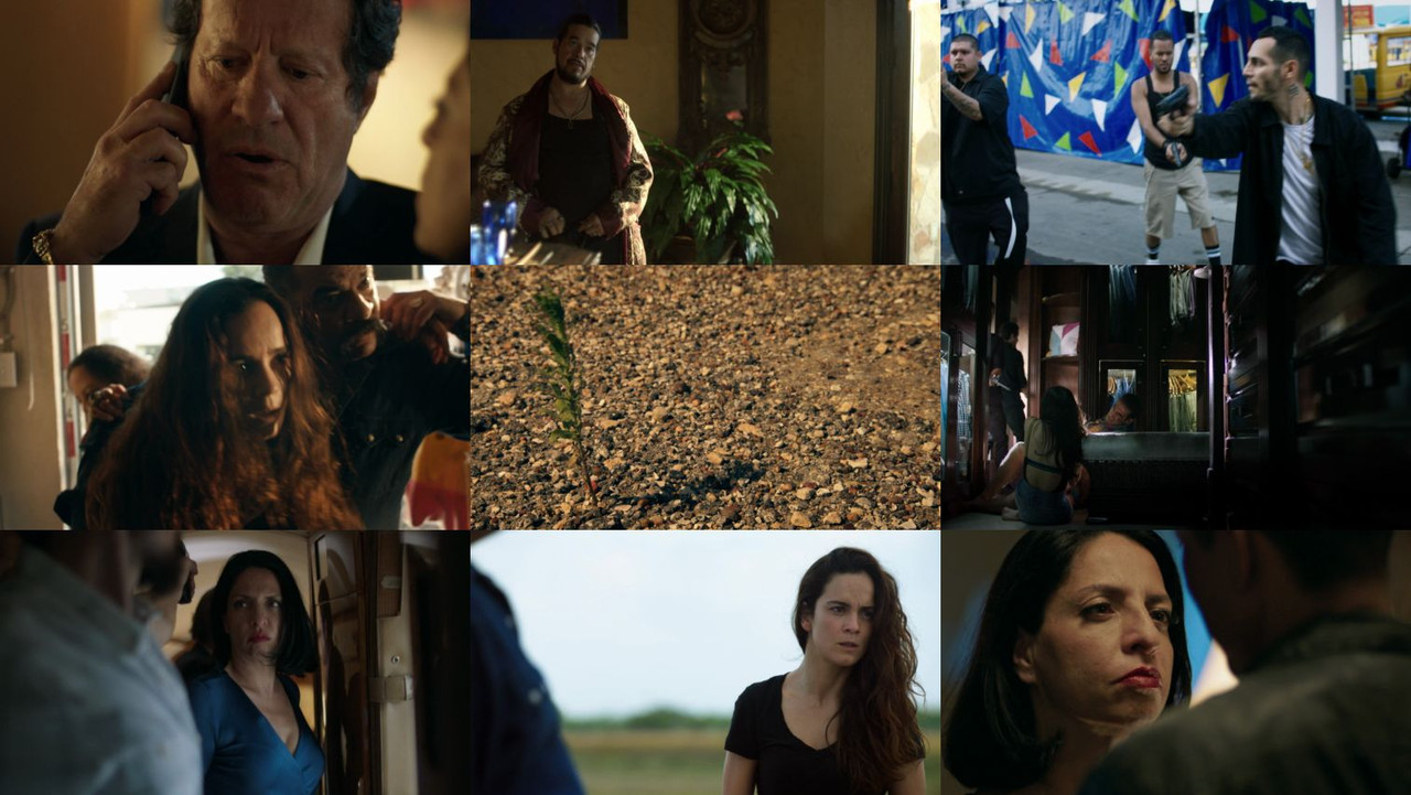 88143317363245987278