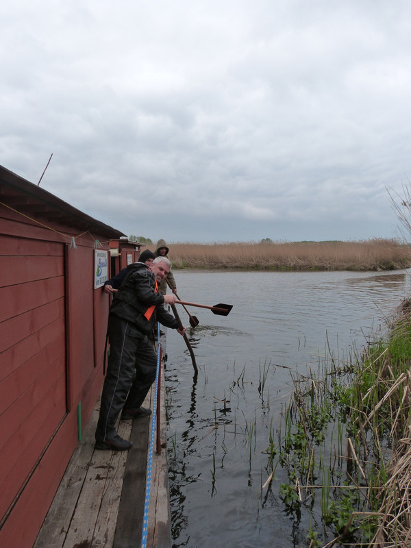 05.20b - P1100756 (Yvonne)