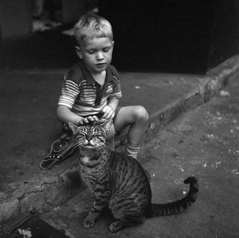 Vivian-Maier-cat-boy.png