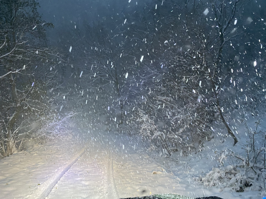 BB9CD954-2DE9-4EF6-907B-6D82E22B71A9