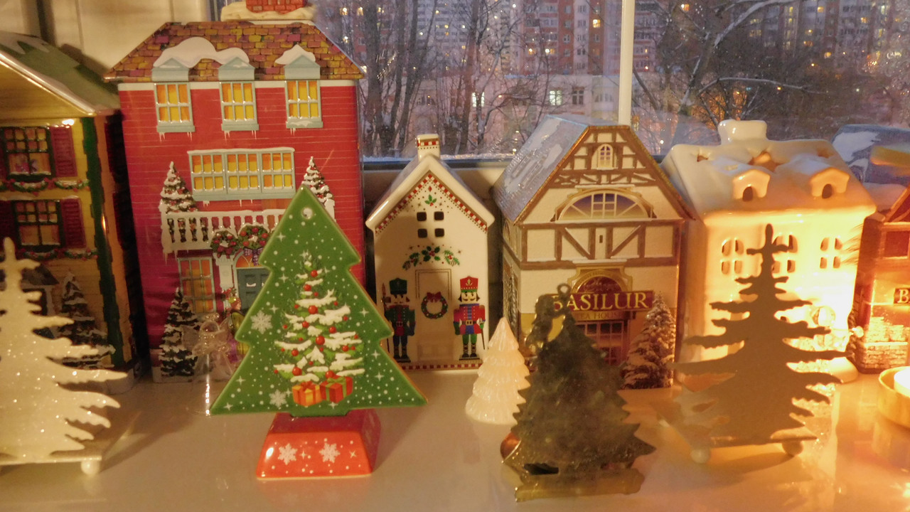 елки в огнях январь 2024 040