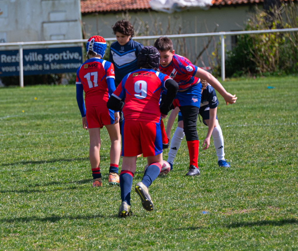 tournoi-de-latlantique-2026-adonis-griffon-55181696065-l