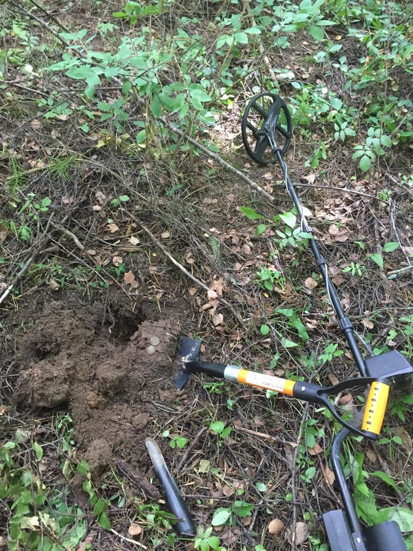 E1E22D7C-F96C-47F8-9295-23FA3578F5A8