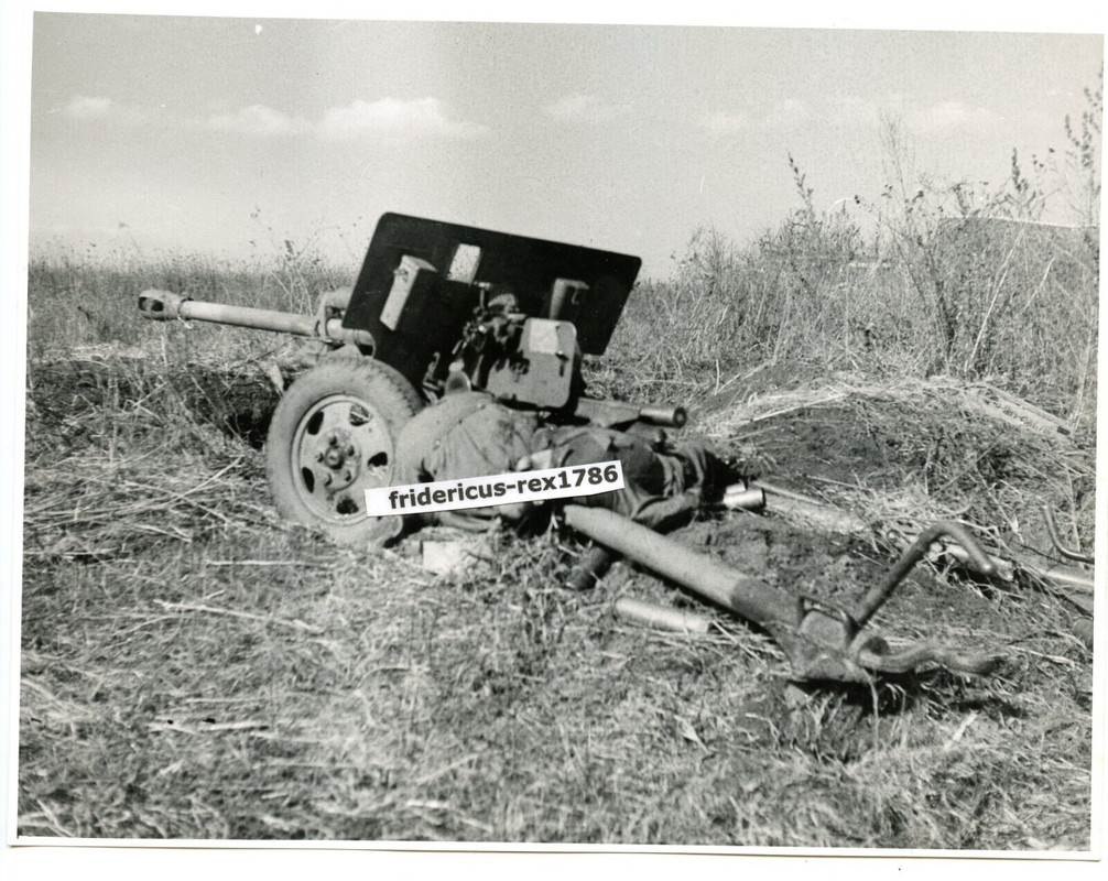 Foto Panzer AufkAbt.11 Ostfront russ. PAK zerstört im Kaukasus HKL