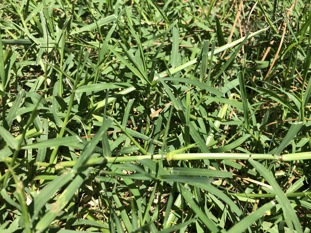 5F1A31DA-272C-47FB-A3FC-4AED47160BF2