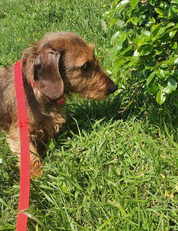 [Image: 20230513-154234.jpg]