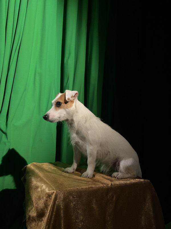 E0ADDFEF-AE06-4D34-8AC2-ADC920E227C7