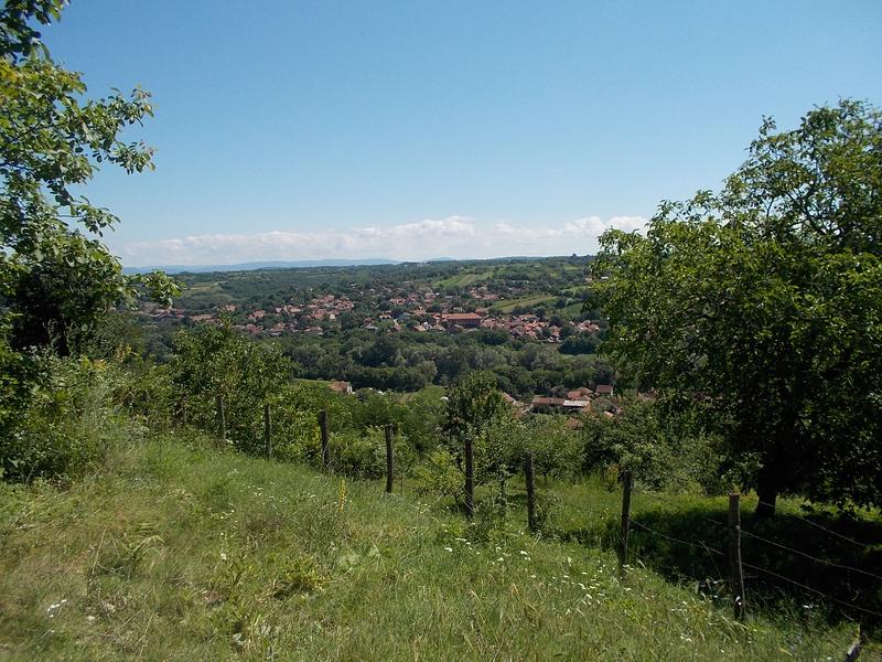Slika